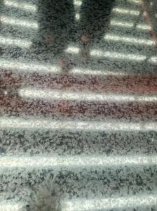 Oiled Surface Ppgi Steel Sheet 1010mm GI Galvanized Steel Sheet Coil S550GD