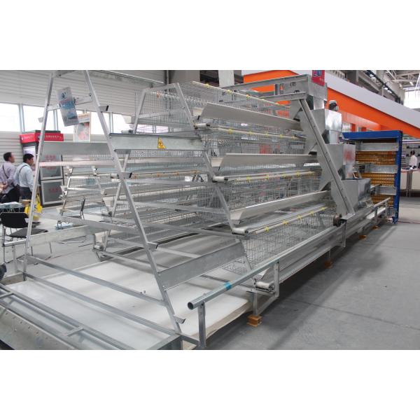 Durable Layer Chicken Cage with 3 or 4 Tiers for Space Utilization and Long Lasting Corrosion Resistance Suitable for Poultry Farms