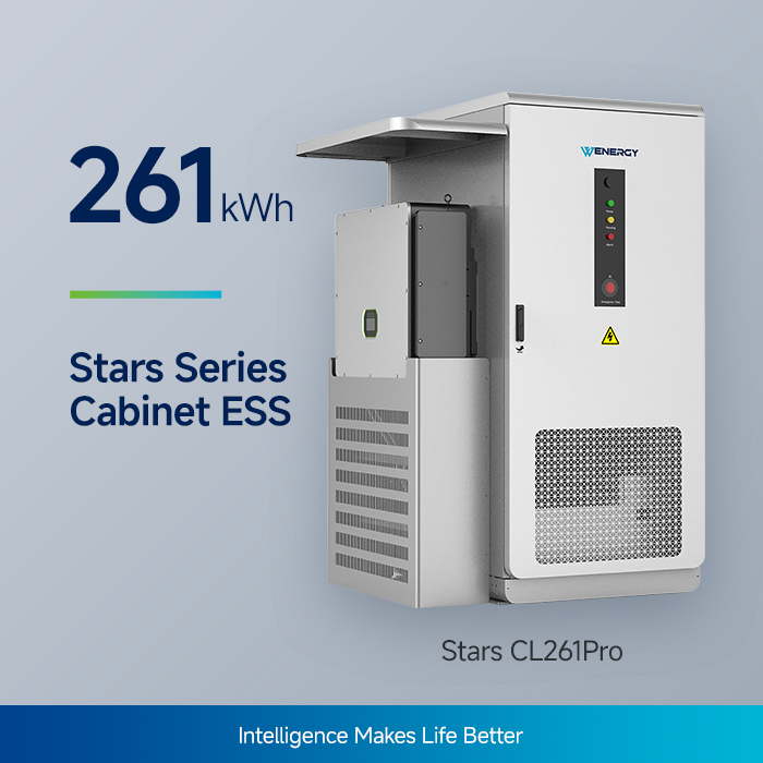 Stars CL261Pro 125kW/261kWh PV –Storage –Diesel Integrated ESS Cabinet