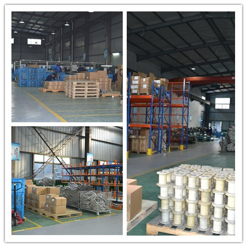 Соединение гибкого трубопровода вытыхания анти- корозии всеобщее, гибкая автоматическая выхлопная труба 321 309С