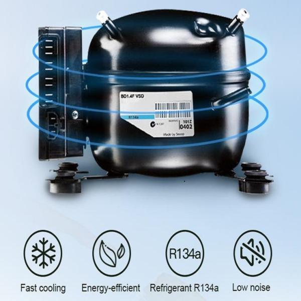 Specially Authorized IP Design Style 12-24V Car Electric Refrigerators for ACURA Fitment