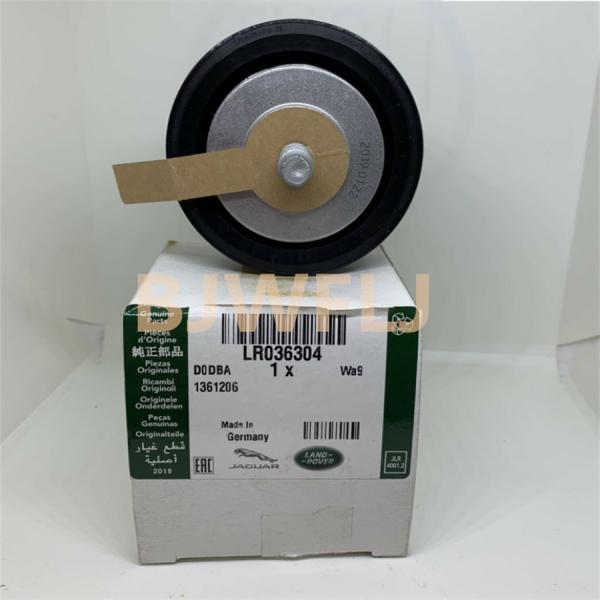 2013-2017 Vogue Discovery Land Rover Engine Parts Drive Belt Idler LR036304