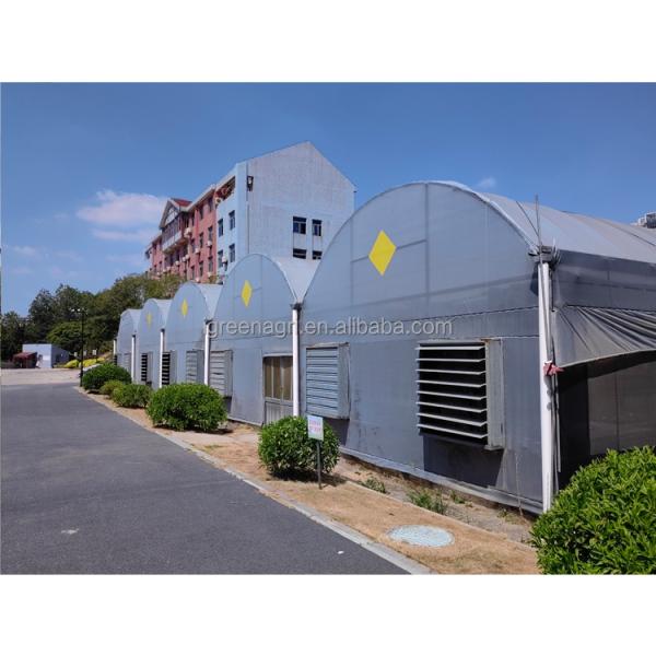 Small Column Reinforced Rod Wind Resistant Vent Window Rain Gutter Single PE Multi Span Film Greenhouse for Vegetable Flower