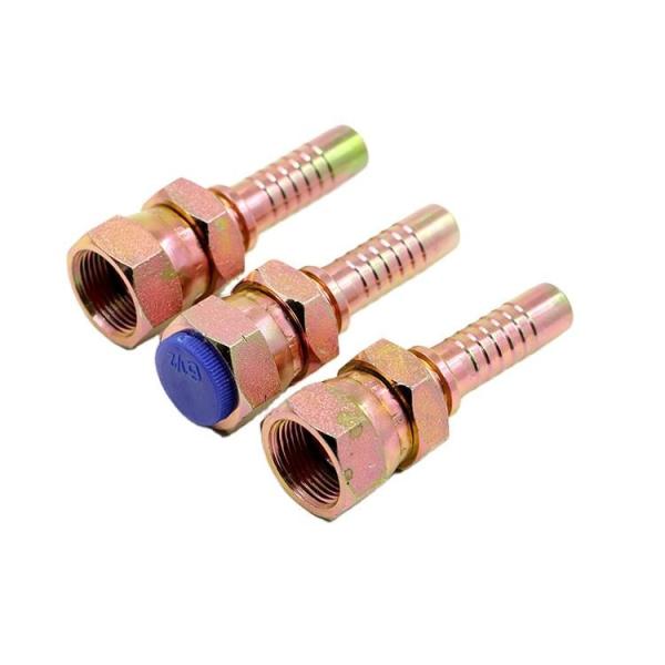 00400 encaixes de mangueira hidráulicos de aço inoxidável revestem os términos hidráulicos de bronze da mangueira da virola da mangueira