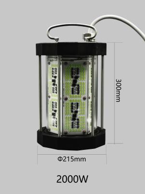 Powerful 2000W Best LED Fishing Light For Deep Sea , Waterproof Fishing Light For Boats