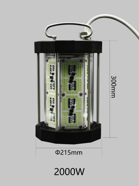 Powerful 2000W Best LED Fishing Light For Deep Sea , Waterproof Fishing Light For Boats