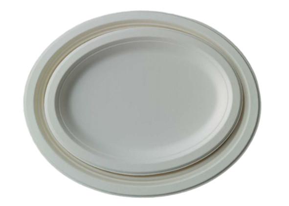 10 Inch 17g Eco Friendly Sugarcane Paper Plates