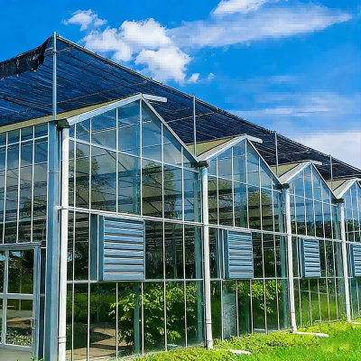 Customized Agricultural Steel Frame Buildings Corrosion Resistant