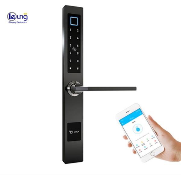 Cerradura inteligente WiFi con huella dactilar y acero inoxidable 304