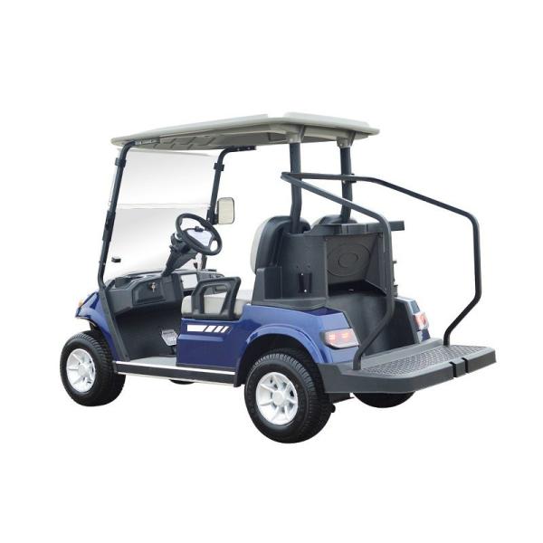 2 4 6 Seater Golf Car Battery Power Electric Golf Cart Lead Acid Or Lithium Battery