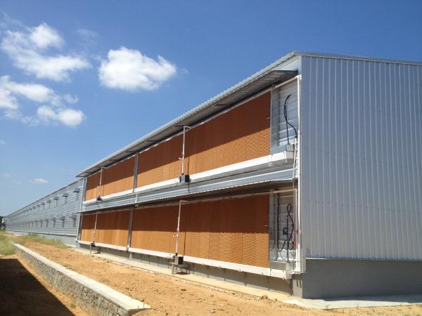 Q235B Galvanized Steel Poultry House / Chicken Coop Steel Frame With Bolts Connection