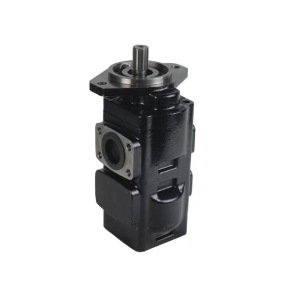 Trabalhos de construção JCB Peças para escavadeiras 20/925586 333/C5234 333/G5392 20/925337 20/925472 7029120048 Bomba de engrenagem hidráulica