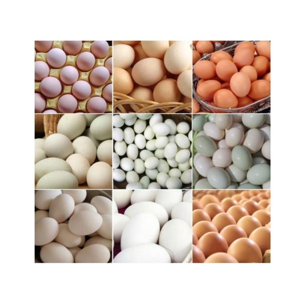Blender High Quality Cosmetic Heart-Box Powder Puffs Microfiber 8Pcs 2 4 5 6 7Pcs 3Pcs Pack Set Sponges Custom Laser Logo Beauty