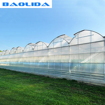 Крыша зуба пилы вентилирует парник полиэтиленовой пленки для дизайна тропического климата особенного