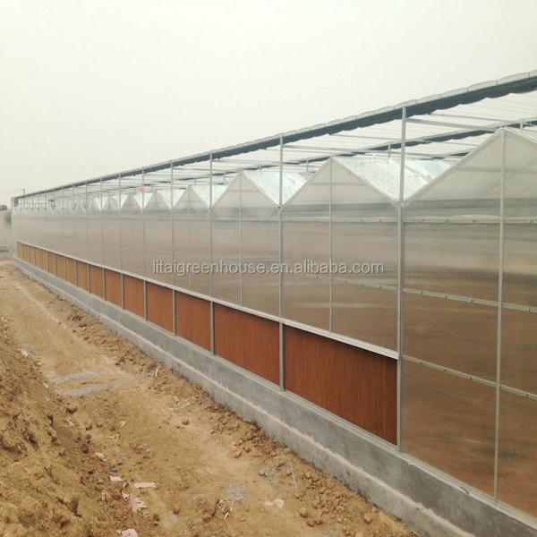 4m Section Polycarbonate Greenhouse for Vegetable Fruits and Flowers Commercial Grade