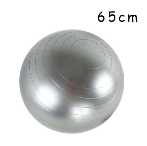 High Flexibility Pilates 65cm Stability Ball Heavy Duty For Gym