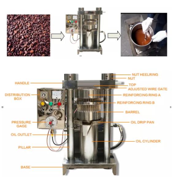 Farms Customized Hydraulic Cocoa Butter Walnut Sesame Oil Extraction Machine for Oil Pressing