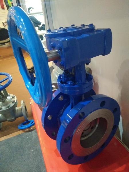 Stainless Steel Seat Worm Gear Flanged end Eccentric Butterfly Valve DN100