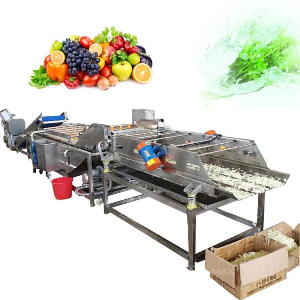Ginger Sweet Potato Cleaner for Speed Adjustable Vegetable Cleaning and Drying Line