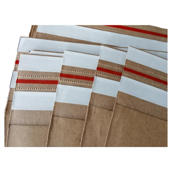 8inch X 12inch Eco Friendly Paper Bags Biodegradable Postage Satchels