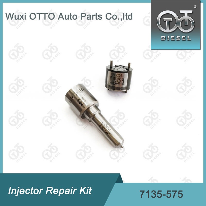 Ремкомплект форсунки Delphi 7135-575 для VW 1.2L, форсунка L363PRD