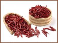 Xinglong secó los chiles rojos sazona el vacío Chaotian Chili Spicy de los 4CM con pimienta