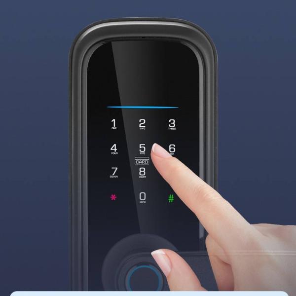 Tuya Smart Glass Door Lock avec empreinte digitale et Bluetooth