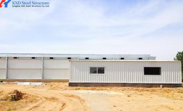 Modern Poultry Farm Steel Structure Building - Custom Light Steel Chicken House