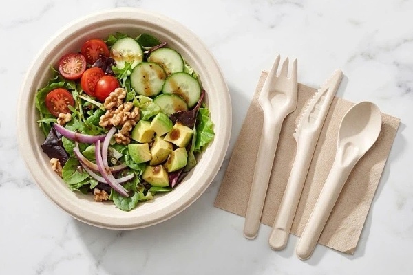 Biodegradable Disposable Sugarcane Bagasse Cutlery Set Pulp Flatware 100% Natural