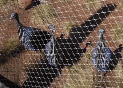 Flexible Leopard Stainless Steel Aviary Mesh Bird Safe Wire Mesh 7×19
