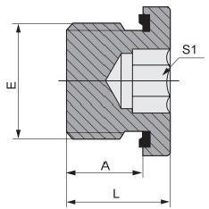 Высокое давление Метрический мужской пленный уплотнитель полые розетки 4mn-Wd с хорошим и длительным рабочим сроком
