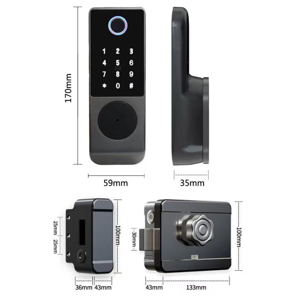 8 языков Нержавеющая ремня Замок Умная дверь Замок Двухсторонняя опциональная