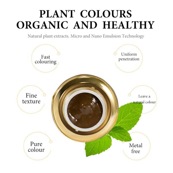 Макияж брови постоянный пигментирует академию чернил татуировки смеси GMT косметическую Perma