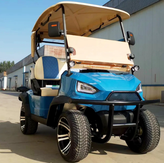 without battery  3.5KW AC motor 4 Wheels Electric Golf Cart  2-seater buggy beach hunting