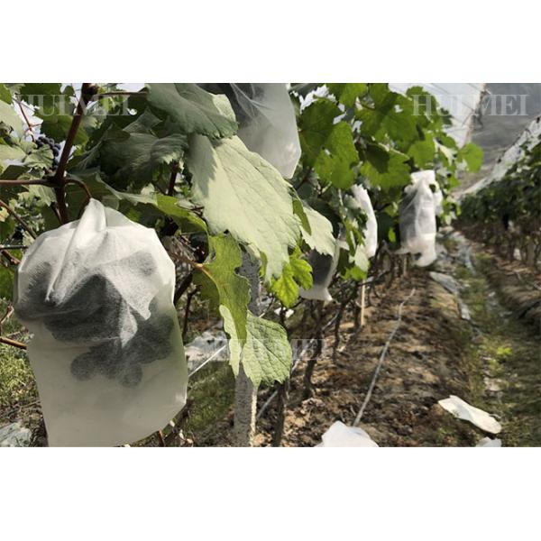 разрыв не сплетенной ткани 190cm земледелия 160gsm белый устойчивый