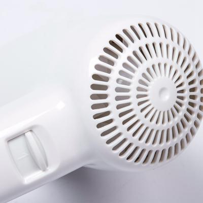 CE Portable Salon Hair Dryer , 1kg Lightweight Ionic Hair Dryer