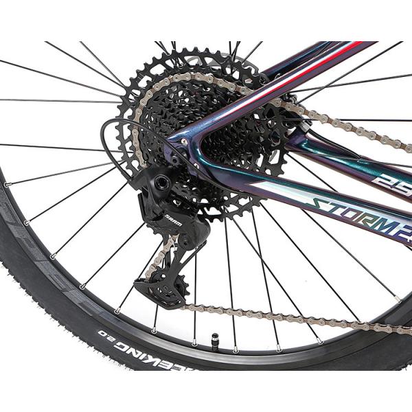 Цвет горного велосипеда 29er углерода голографический с Sram SX 12S Groupset для взрослого