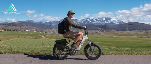 HovBeta F008 48V 20 Foldable Fat Tire E-bike with 7-Speed Rear Hub Motor Lithium Battery Aluminum Frames Fashion Design