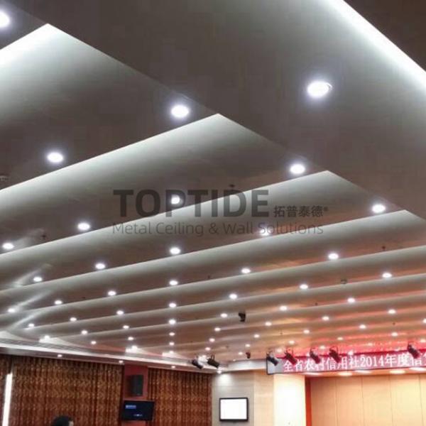 Natatorium Interior Decorative Panel Curved Wall And Ceiling Covering Suspended Metal