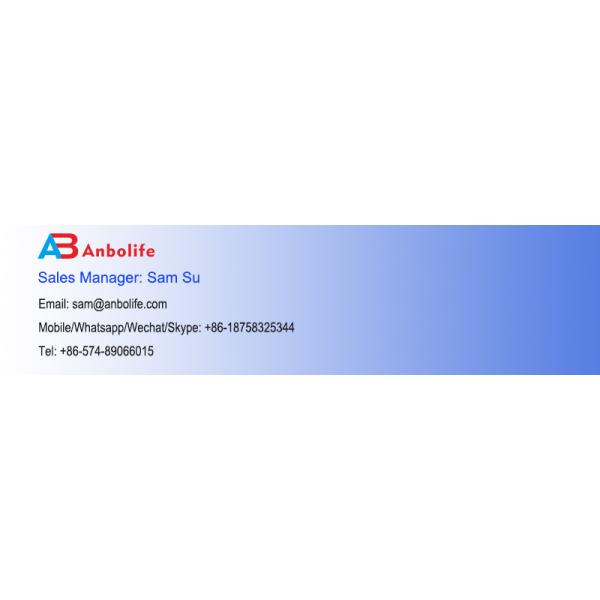 Путешествие мини паровое железо профессиональное портативное ручное вертикальное паровое железо