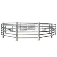 12 Ft Powder Coated Animal Fencing Hot Diped Galvanized Steel Pipe