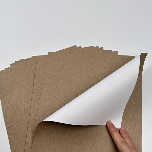 White Front Coated GC4 Kraft Back 280 GSM 660*1016 Board