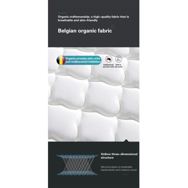 JOURM Pure Natural Latex Layer Hollow Three-Dimensional Structure for Airflow Comfort