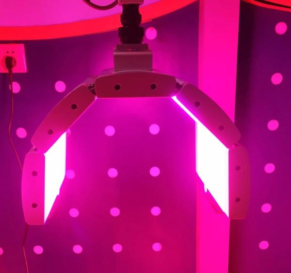 Sincoheren Laser PDT LED Light Therapy Machine IR Healing For Acne Removal
