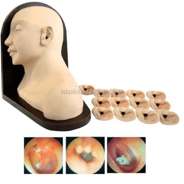 Medical Education Ear Examination Model Realistic Human Simulation with 14-pc Set
