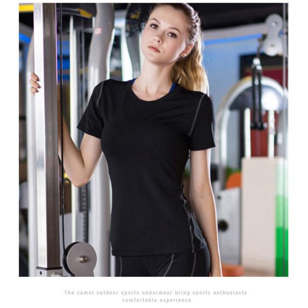 2 шт. Блузка с коротким рукавами, футболка + шорты, женский костюм.