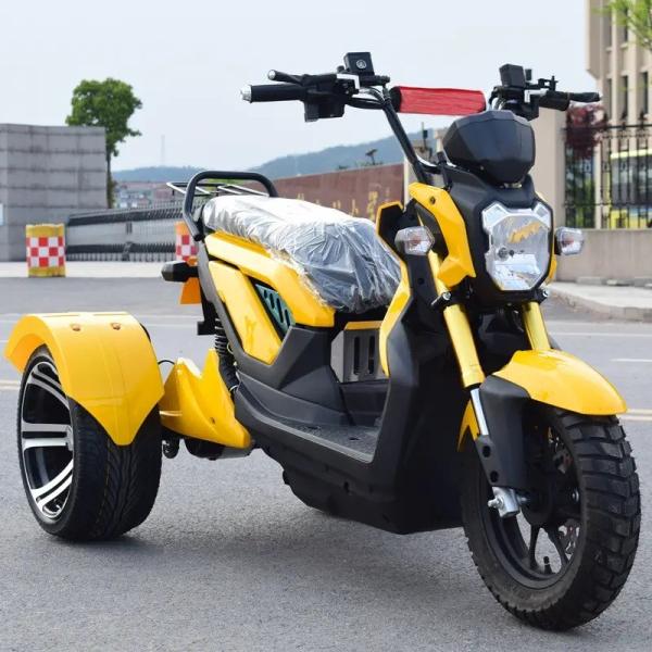 All Tube Type Controller Double Seat Adult Electric Tricycle for Elder/Three Fat Wheel Electric Bicycle