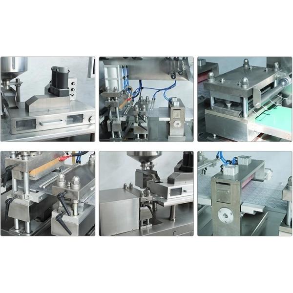Alu-Alu Pharmaceutical Blister Packaging Equipment For Capsules Tablets Candy DPP-260