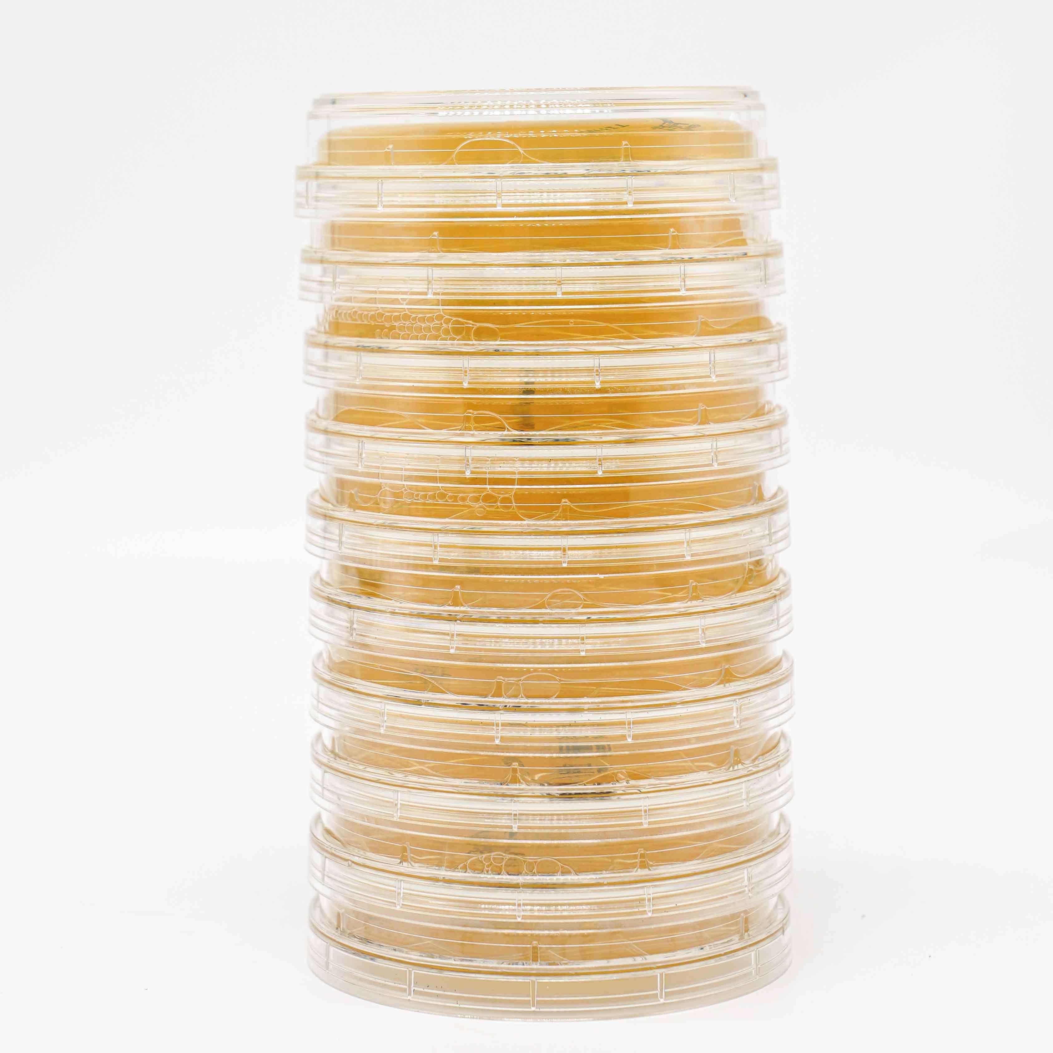 Microbiology Mannitol Salt Agar MSA Plate For Selective Isolation And Identification Support
