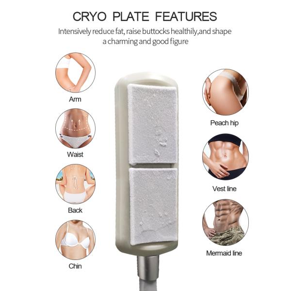 Fat Removal Non Invasive 8D Laser Therapy Machine Dual Wavelength 532nm 635nm Red And Green Light